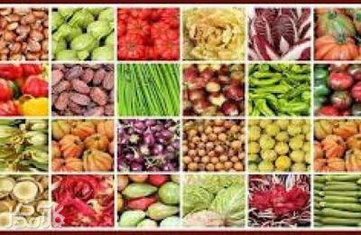 لیست محصولات ممنوعه برای صادرات اعلام شد