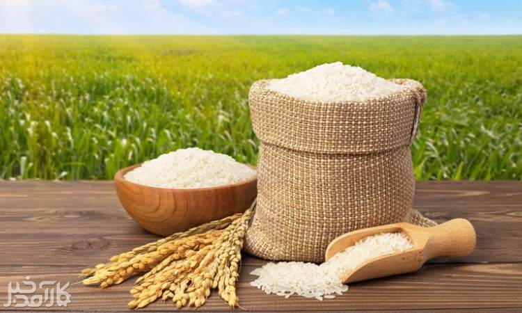 خودکفایی در عرضه برنج ؟