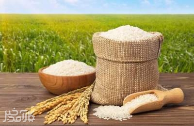 خودکفایی در عرضه برنج ؟