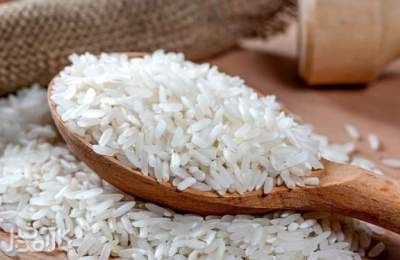  قیمت برنج ایرانی در حال کاهش است