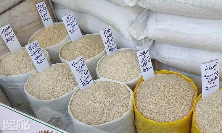 دولت به قیمت برنج ایرانی ورود کرد