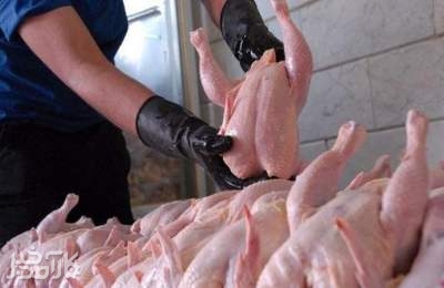 قیمت مرغ تغییر می‌کند؟