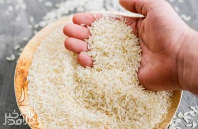 برنج هندی ارزان شد