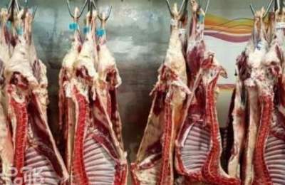 عوارض واردات گوشت قرمز به ازاء هر کیلو 11000 ریال شد