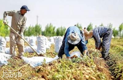 هشدار به کشاورزان؛ تابستان گرم‌تر از نرمال و کم‌بارشی در راه است