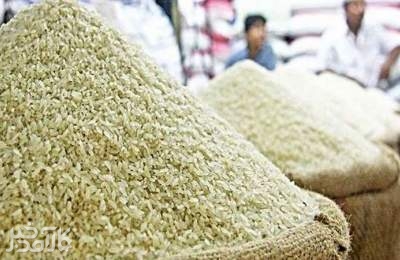 واردات برنج نامرغوب ممنوع شد