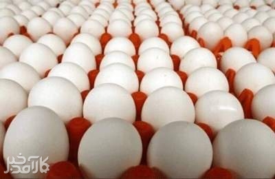 پایان شوک در بازار تخم مرغ