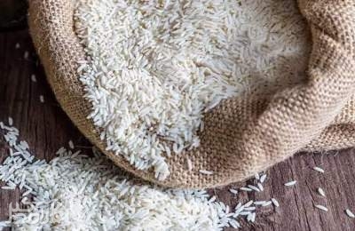 لغو ممنوعیت واردات برنج در فصل برداشت