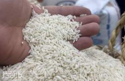 برنج چند؟